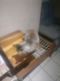 Vintage / Antique  Table and Chair