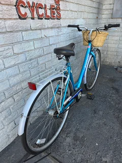 Imported Pre-Owned Vintage Probike Discovery City Cruiser 3 Speed - R3750