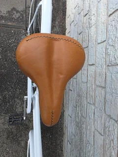 Restored Imported Holland Single Speed Commuter - R4500