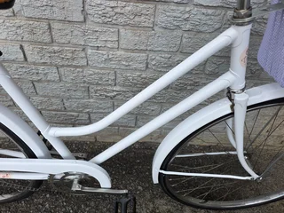 Restored Imported Holland Single Speed Commuter - R4500