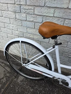 Restored Imported Holland Single Speed Commuter - R4500