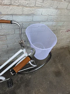 Restored Imported Holland Single Speed Commuter - R4500