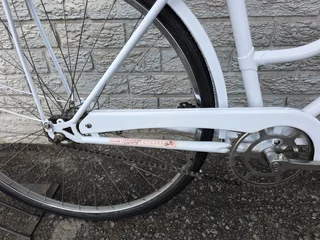 Restored Imported Holland Single Speed Commuter - R4500