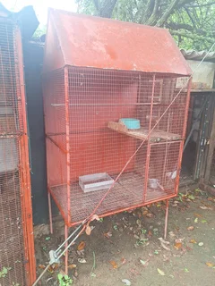 Voëlhok, spesifiek vir krombekke.