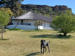 Secure Beautiful Thatch Roof Farm House with a view