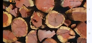 Wood Braai Kameeldoring or Swarthaak