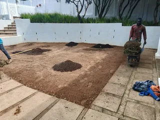 Grass En All We Grass Kzn Cont 0833218052 Instant Lawn Natural Quality