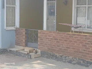 Bezuidenhout Valley Johannesburg,4 bed,2 bath for sale.(plus 2*1bed flatlet,  5*Bachelor, 4 room).