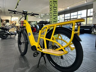 Electric Delivery Bike