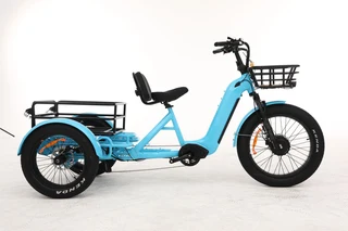 Electric Trike