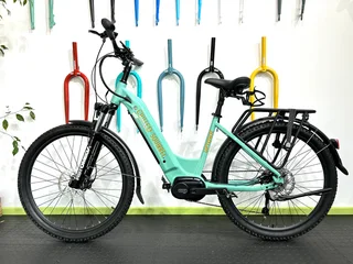 Electric Mountain Bike Step-thru Design