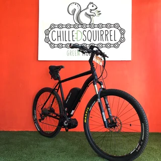 Chilled Squirrel Electric bikes | Convert your bike to an e-bike | Electric Mountain Bikes