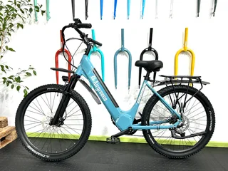 ELECTRIC MOUNTAIN BIKES  | EMTB | MID DRIVE E-BIKES | ELECTRIC MTB | PEDAL ASSIST ELECTRIC BIKE