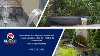 Koi Pond Services and Maintenance