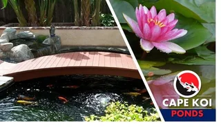 Pond Maintenance and Waterproofing