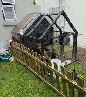 Chicken Coop
