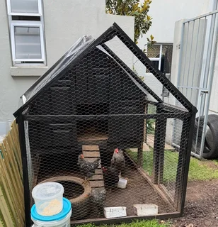 Chicken Coop