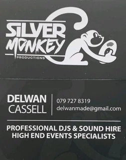 Silvery monkey DJ production