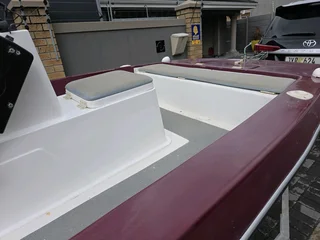 Cathedral hull with 50Hp Mercury