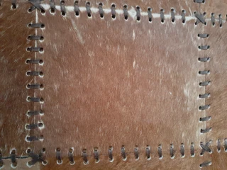 Authentic Alaskan Deer-hide rug.