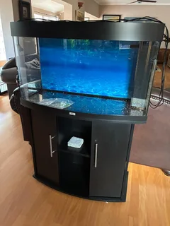 Juwel Aquarium