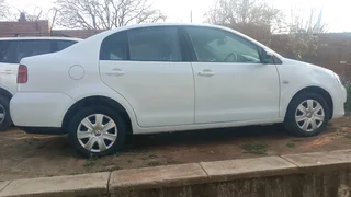 Polo Vivo