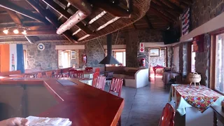 Kroegdame - Ad posted by Sias Hoffman