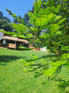 We have 2 positions available...We not just looking for security but also junior marketing.