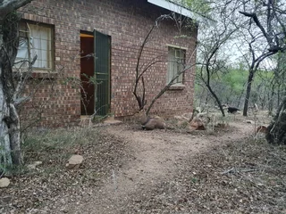 Marloth Park Overnight Accommodation