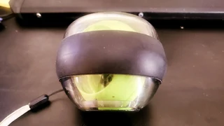 Body Sculpture Gyro Ball