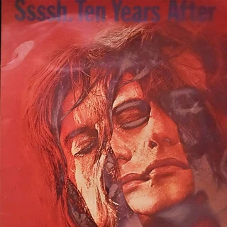 Various 12 Inch Vinyls Records