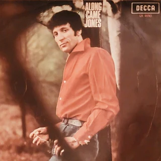 Various 12 Inch Vinyls Records