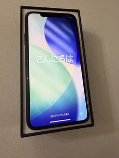 Iphone 11 pro max 256 gig