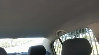 2009 Volkswagen Polo Sedan Sedan