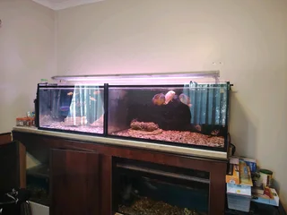 10mm Polished Glass With Black Silicone Fish Tank