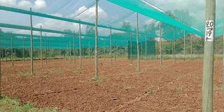 Shadenet and Tunnels structure for rent