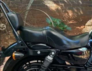 Sissy boy for a harley davidson