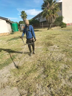 TREE FELLING AND GARDEN SERVICES