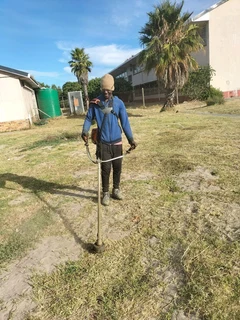 TREE FELLING AND GARDEN SERVICES