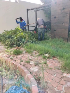 TREE FELLING AND GARDEN SERVICES