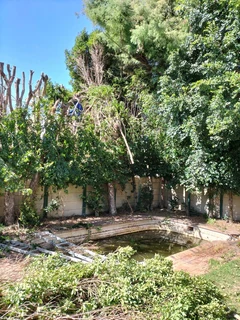 TREE FELLING AND GARDEN SERVICES