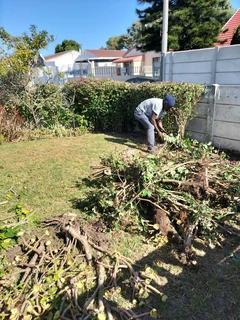 TREE FELLING AND GARDEN SERVICES
