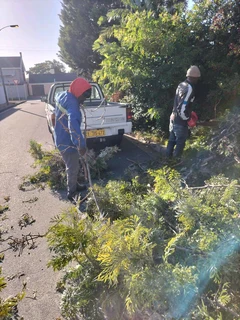 Tree felling and Garden Services