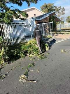 Tree felling and Garden Services