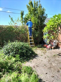 Tree felling and Garden Services