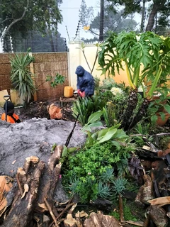 Tree Felling and Garden Services