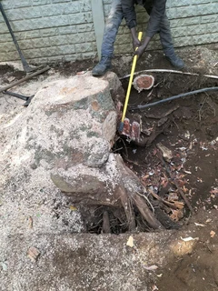 Tree Felling and Garden Services