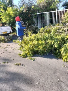 Tree Felling and Garden Services