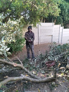 Tree Felling and Garden Services