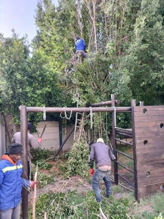 Tree Felling and Garden Services